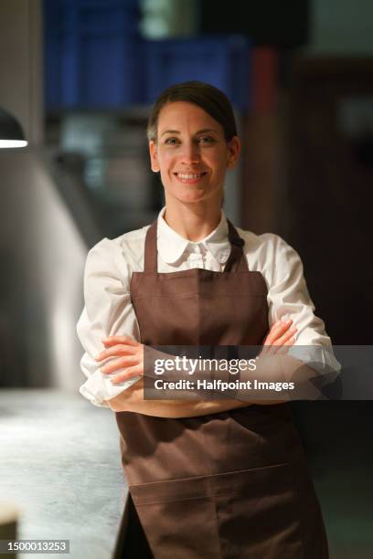 portrait of woman working in restaurant kitchen. - köchin stock-fotos und bilder