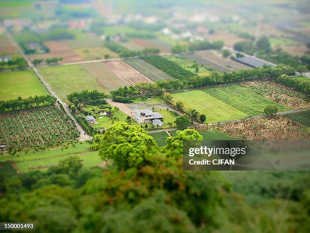 Luya Photos and Premium High Res Pictures - Getty Images