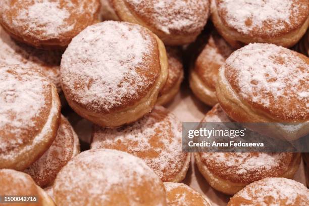 polish donut sprinkled with powdered sugar. - paczki fotografías e imágenes de stock