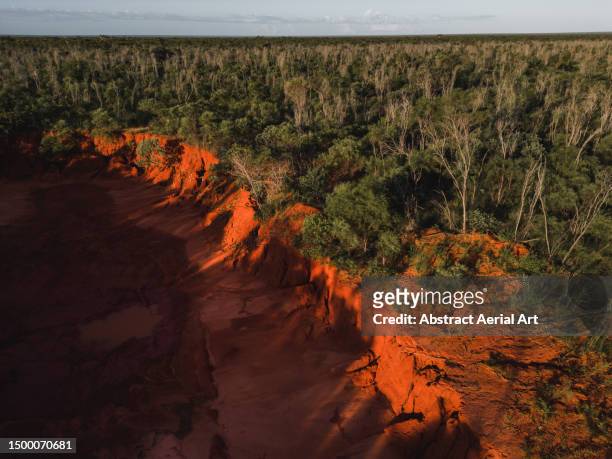 orange coloured cliffs at the edge of a forest shot from an aerial perspective, western australia, australia - tropical bush stockfoto's en -beelden