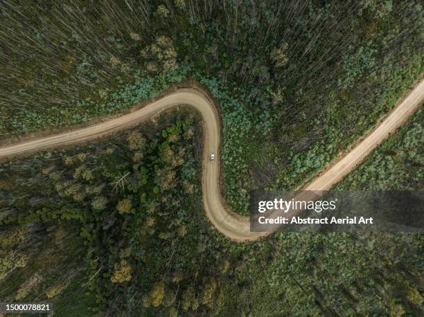 off-road vehicle driving through a chicane on a dirt road in a forest photographed from a drone point of view, victoria, australia - carretera de campo fotografías e imágenes de stock