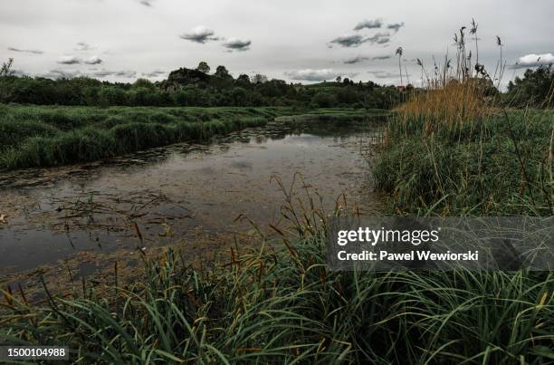 oxbow lake of wisla river - oxbow bend stock pictures, royalty-free photos & images