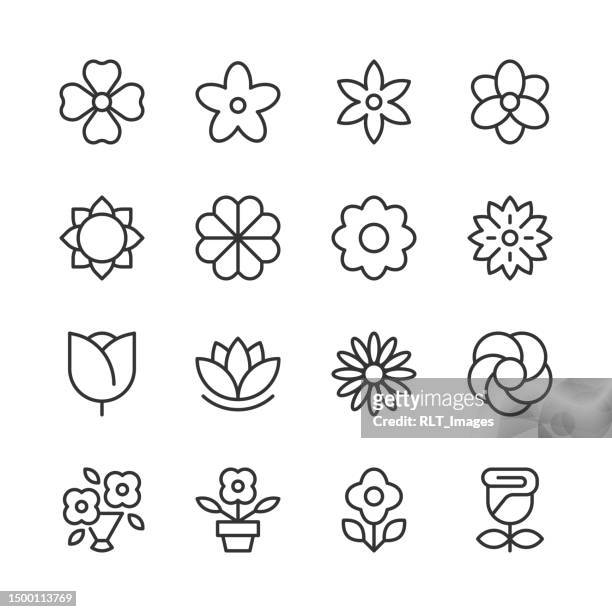 illustrations, cliparts, dessins animés et icônes de icônes de fleurs — série monoline - symmetry icon