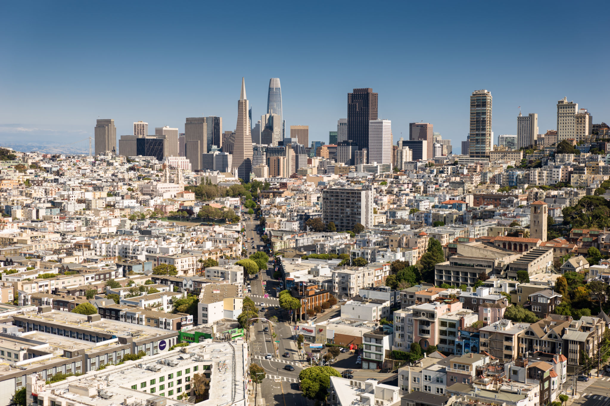san francisco city