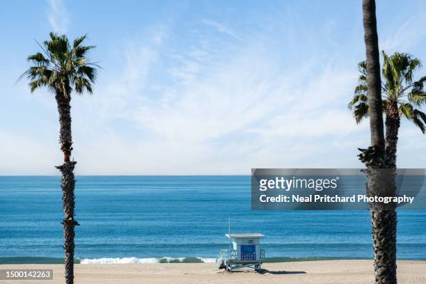 palm trees and lifeguard hut on venice beach - venice beach stock pictures, royalty-free photos & images