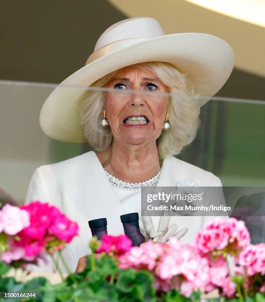 Queen Camilla watches the racing on day one of Royal Ascot 2023 at Ascot Racecourse on June 20, 2023 in Ascot, England.