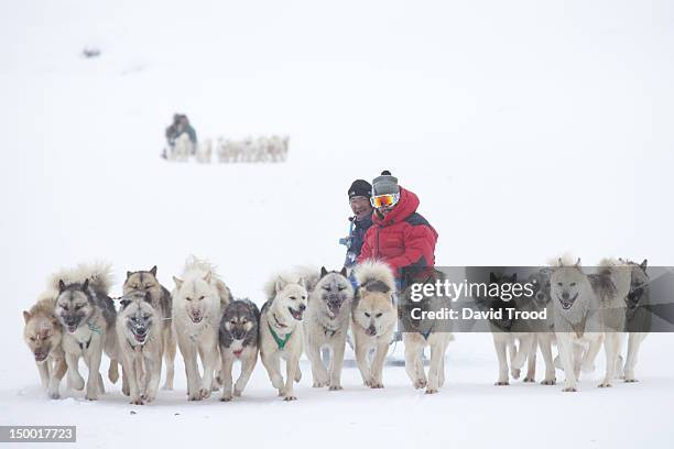 winter in greenland - sledge stock pictures, royalty-free photos & images