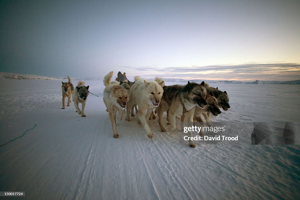 Winter in Greenland