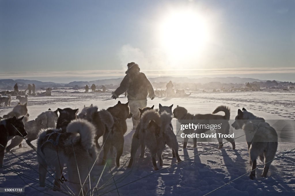 Winter in Greenland