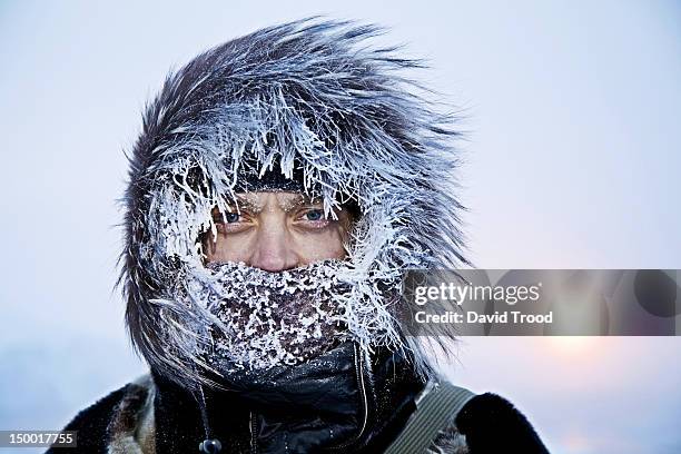 winter in greenland - frost stock-fotos und bilder