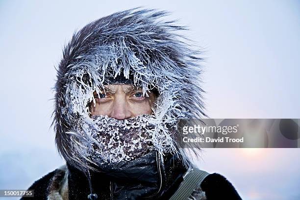 winter in greenland - uomo incappucciato foto e immagini stock