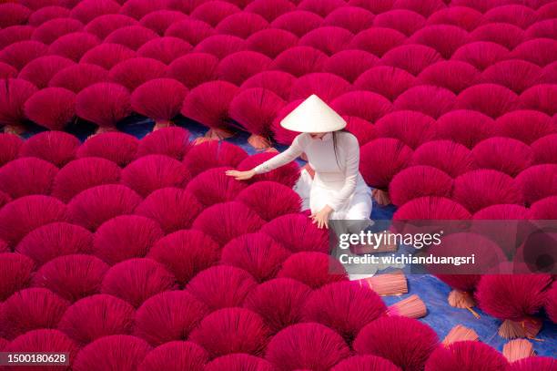 vietnamese girl in traditional white ao dai dress with incense drying outdoors in hanoi, vietnam - hanoi stock pictures, royalty-free photos & images