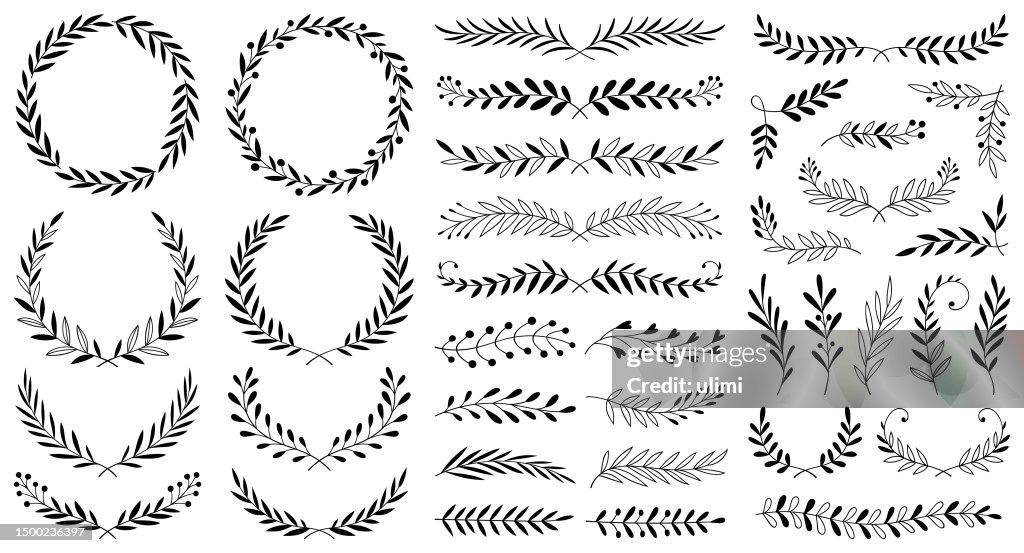 Hand drawn plants, dividers, wreaths, border frames