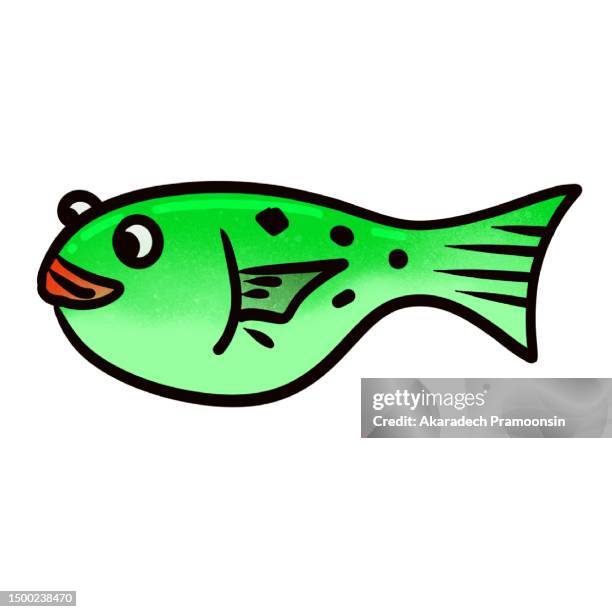 green fish - sea life cartoon stock pictures, royalty-free photos & images