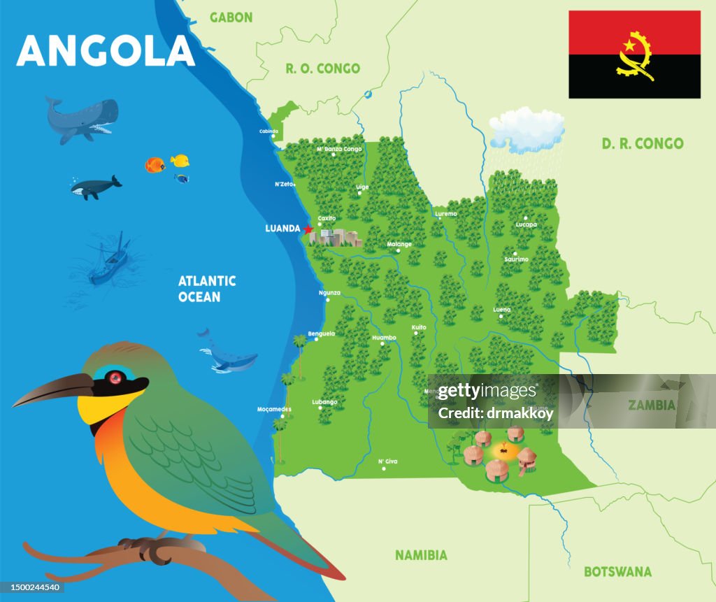 ANGOLA Birds and Little Bee Eater