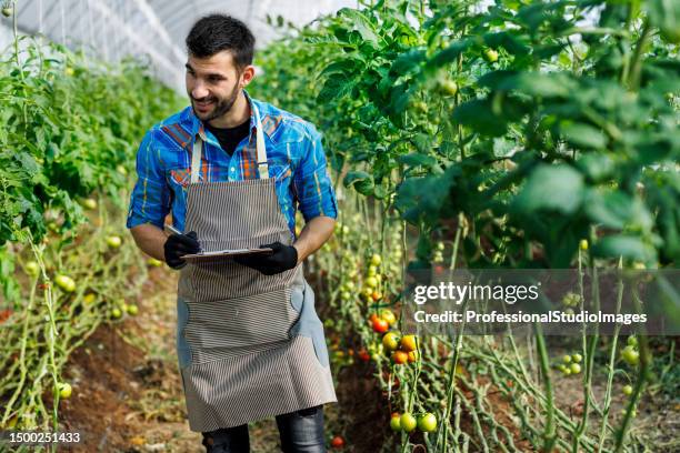 Lab Picker Testing Lab Picker Photos and Premium High Res Pictures - Getty Images