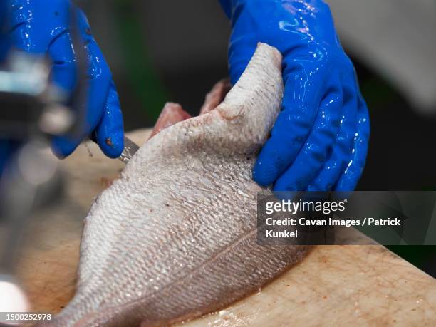 close-up of man cutting fish with knife - pescivendolo foto e immagini stock