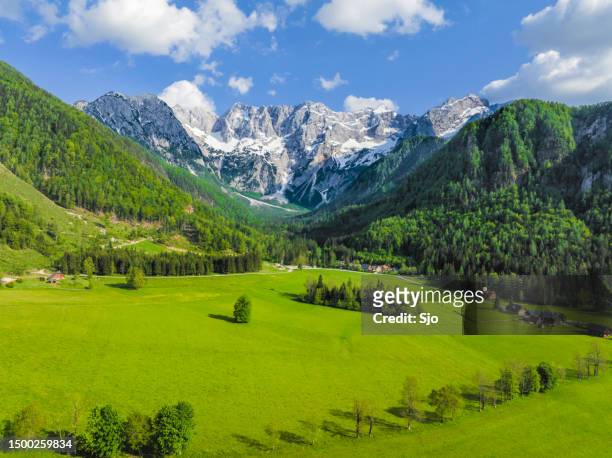 zgornje jezersko valley aerial view during springtime - infrared lamp stock pictures, royalty-free photos & images