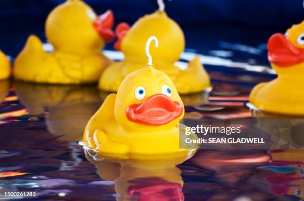 fairground ducks - hook a duck stock pictures, royalty-free photos & images