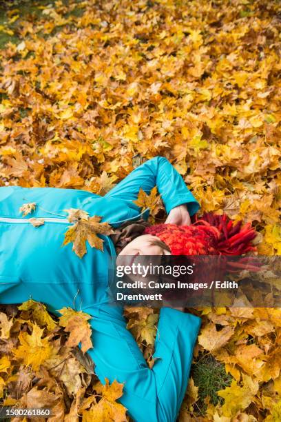 smiling woman lying on ground in heap of autumn leaves - edith falls stock pictures, royalty-free photos & images