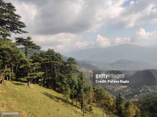 Dense Himalayan coniferous evergreen forests seen on June 6, 2023 at Bhadwerwah, India.