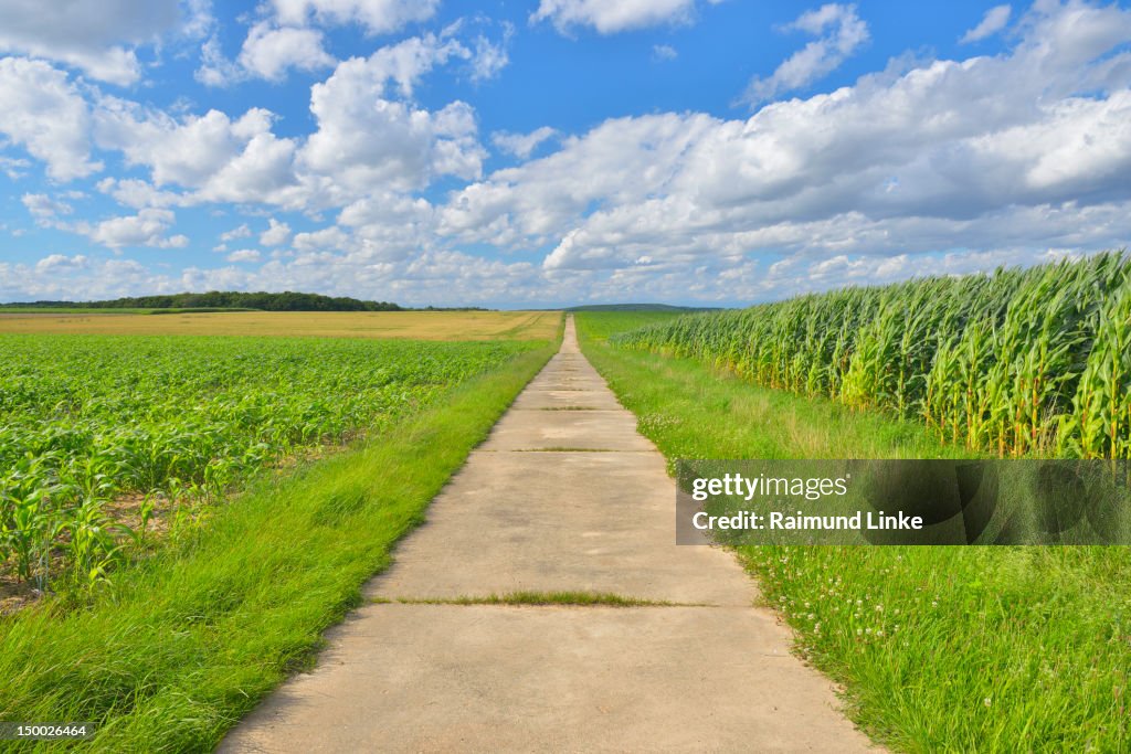 Field Path Example Field Path High-Res Stock Photo - Getty Images