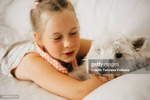 happy pre-adolescent girl lying on sofa telling beloved dog about weekend plans - eén dier stockfoto's en -beelden