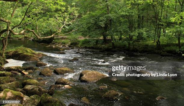 River Rothery River Rothay Photos and Premium High Res Pictures - Getty Images