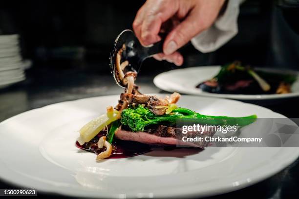 selvaggina - filetto foto e immagini stock