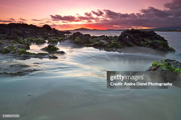 sink hole - galapagos stock pictures, royalty-free photos & images