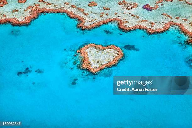 heart reef - great barrier reef australia ストックフォトと画像