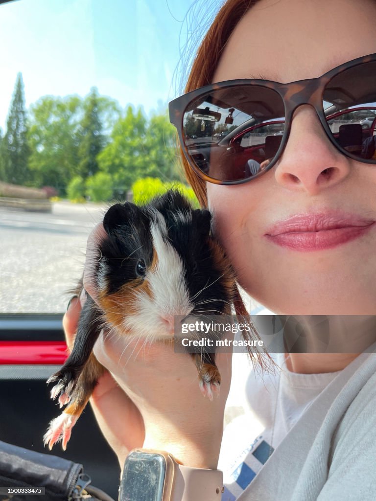 Close-up image of attractive, young, red headed woman wearing sunglasses, sitting in car holding female, tricoloured, long haired Abyssinian guinea pig, looking at camera smiling, focus on foreground