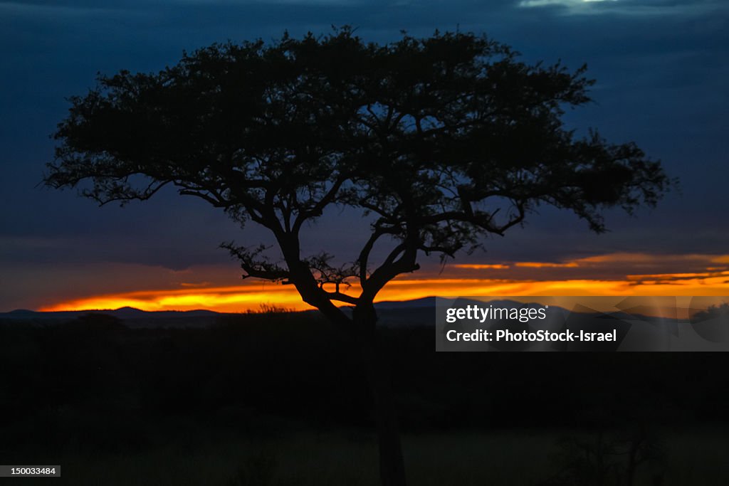 Sunset, Serengeti National Park, Tanzania