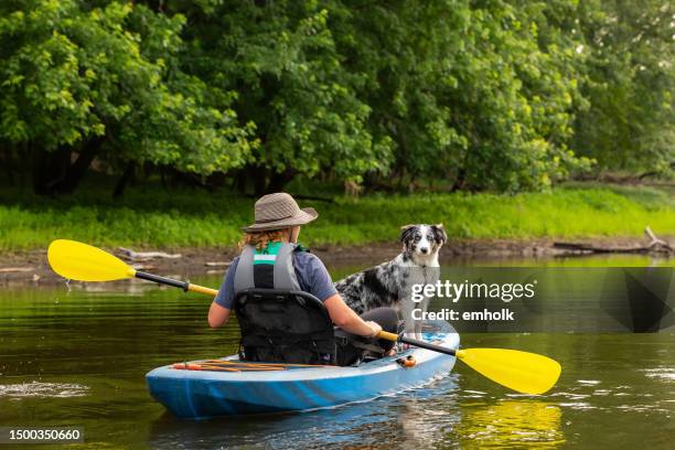 girl & dog kayaking down rum river in summer - kayaking stock pictures, royalty-free photos & images