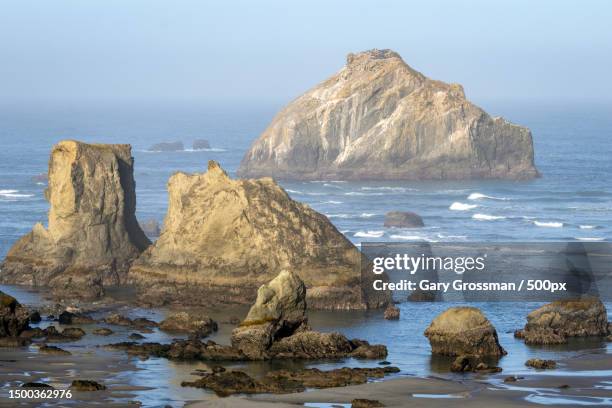 Bandon State Park Photos and Premium High Res Pictures Getty Images Bandon State Park Photos and Premium High Res Pictures Getty Images