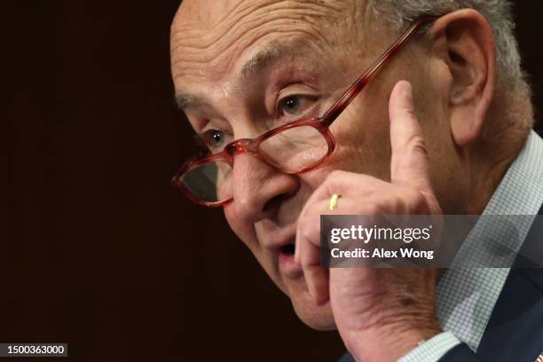 Senate Majority Leader Sen. Chuck Schumer speaks on AI technology at the Center for Strategic and International Studies on June 21, 2023 in...