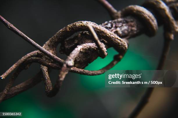 close-up of rusty chain,thiruvananthapuram,kerala,india - sreekanth stock pictures, royalty-free photos & images