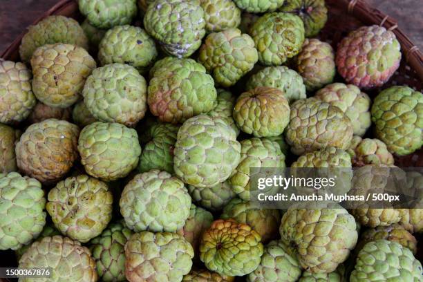 high angle view of artichoke for sale at market stall,sa kaeo,thailand - sugar apple stock pictures, royalty-free photos & images