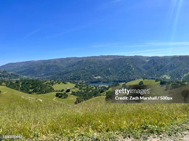 scenic view of landscape against blue sky,alameda county,california,united states,usa - glenn marshal stock pictures, royalty-free photos & images