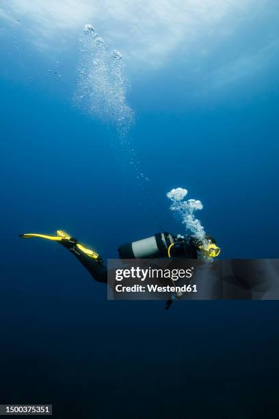 young woman scuba diving in sea - plongée sous marine autonome photos et images de collection