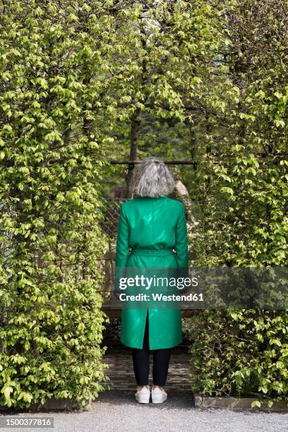 senior woman standing in plat arcade wearing green coat, rear view - trench coat back stock pictures, royalty-free photos & images