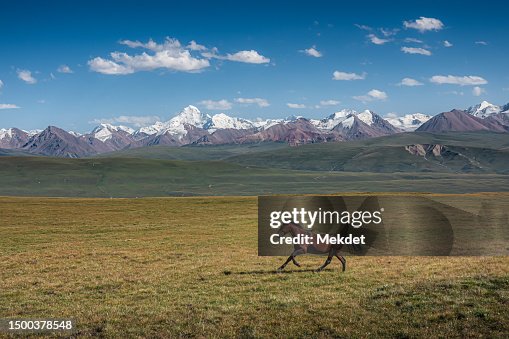 Tianshan Steppe The Steppe Of Sary Dhaz Valley Kyrgyzstan With Tienshan Mountain Range ...