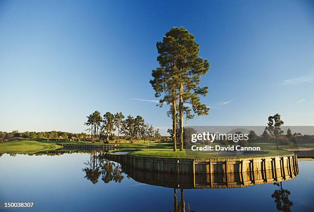 General view of the 5th hole on the Nicklaus East Course on 1st January 1992 at the Grand Cypress Golf Club in Orlando, Florida, United States.