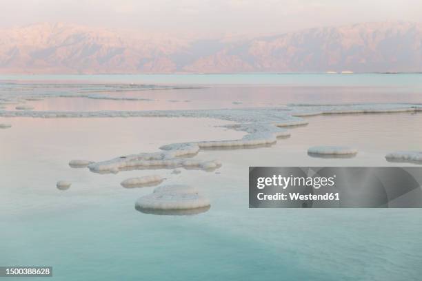 salt formations in dead sea at sunset - dead sea stock pictures, royalty-free photos & images