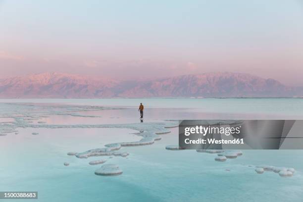 man standing on salt formations in dead sea - dead person photos - fotografias e filmes do acervo