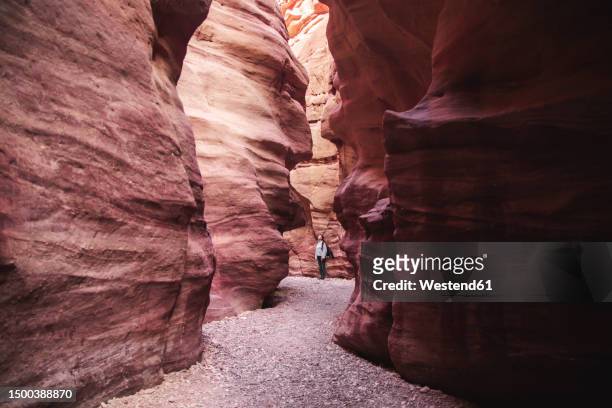 young woman standing in red canyon, eilat, israel - eilat stock-fotos und bilder