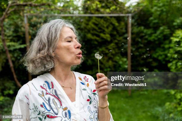 senior woman blowing dandelion blowball in garden - same action stock-fotos und bilder