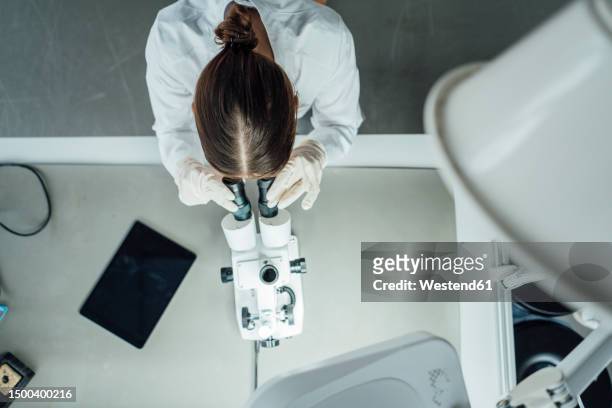 young scientist working with microscope in laboratory - woman microscope stock pictures, royalty-free photos & images