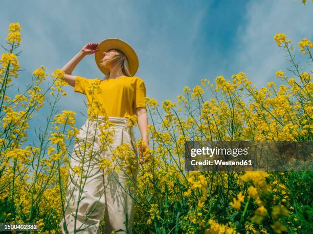 woman wearing hat standing in rapeseed field at sunny day - donne di età media foto e immagini stock