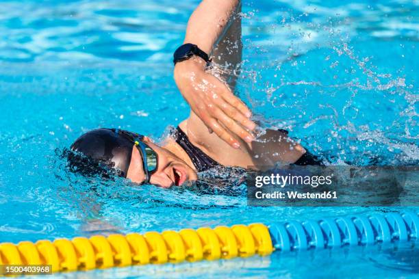 triathlete swimming near lane marker in pool - swimming lane marker foto e immagini stock